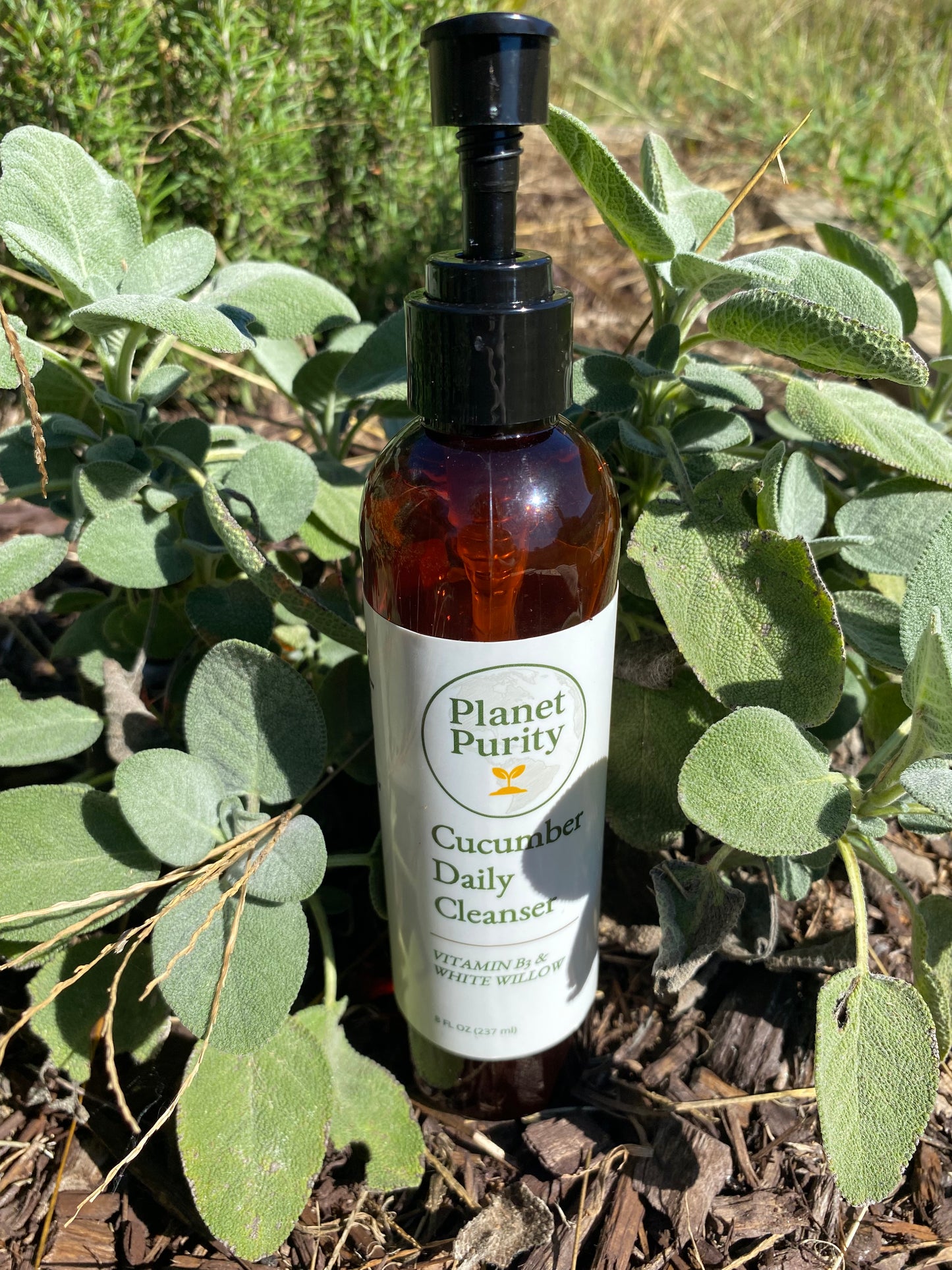 Cucumber Daily Cleanser